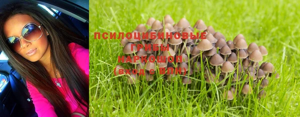 таблы Покачи