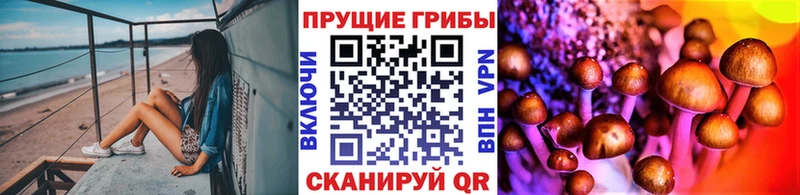 Купить где Ивдель Галлюциногенные грибы мицелий